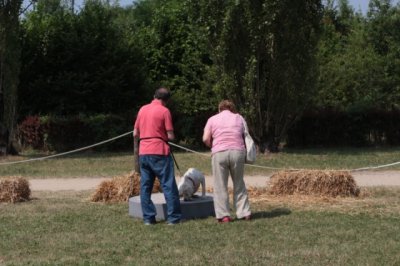La Festa